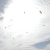 paragliding-holidays-olympic-wings-greece-2016-071