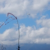 paragliding-holidays-olympic-wings-greece-2016-173