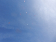 paragliding-holidays-olympic-wings-greece-2016-065