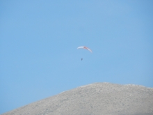 paragliding-holidays-olympic-wings-greece-2016-066