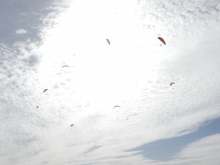 paragliding-holidays-olympic-wings-greece-2016-071