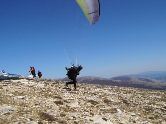 delta2-stelios-olympic-wings-02