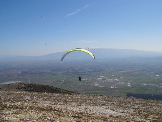 delta2-stelios-olympic-wings-04