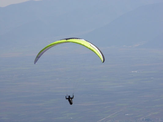 delta2-stelios-olympic-wings-05