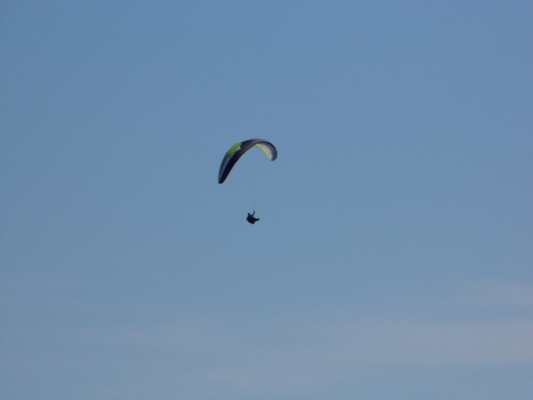 delta2-stelios-olympic-wings-06