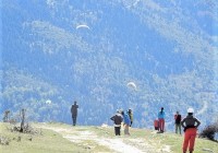 Flying Guide Workshop with Olympic Wings