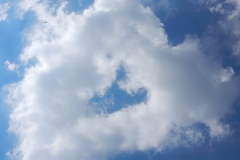 Gary Tony Sergey Calin Anita smiley pilots flying at Olympus Paragliding Greece with Olympic Wings