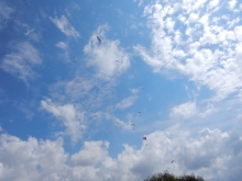 paragliding-holidays-olympic-wings-greece-2016-086