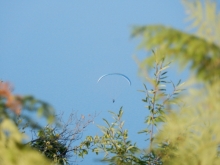 paragliding-holidays-olympic-wings-greece-2016-289