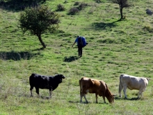 paragliding-holidays-olympic-wings-greece-2016-014