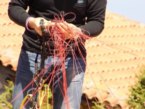 Olympic Wings Service Center Greece