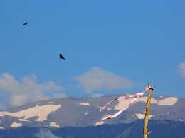 olympic-wings-paragliding-olympus-greece-020