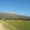 paragliding mimmo olympic wings holidays in greece 138