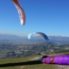 paragliding mimmo olympic wings holidays in greece 168