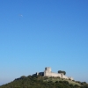 paragliding mimmo olympic wings holidays in greece 203