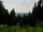 Olympic Wings at Sky Paragliders Czech Republic