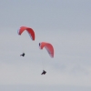 Paragliding Club Shelenkov Russia
