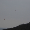paragliding-holidays-mount-olympus-greece-march-2013-001