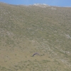 paragliding-holidays-olympic-wings-greece-shelenkov-487