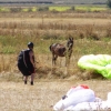 paragliding-holidays-olympic-wings-greece-shelenkov-573