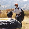 paragliding-holidays-olympic-wings-greece-shelenkov-600