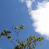 paragliding-holidays-olympic-wings-greece-shelenkov-299