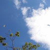 paragliding-holidays-olympic-wings-greece-shelenkov-301