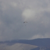 paragliding-holidays-olympic-wings-greece-shelenkov-312