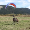 paragliding-holidays-mount-olympus-greece-goeppingen-175