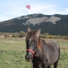 paragliding-holidays-mount-olympus-greece-goeppingen-176