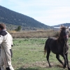 paragliding-holidays-mount-olympus-greece-goeppingen-179