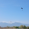 skydance-paramotor-paragliding-holidays-olympic-wings-greece-022