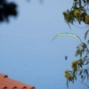 paragliding-holidays-olympic-wings-greece-2016-069