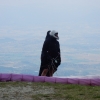 paragliding-holidays-olympic-wings-greece-2016-076