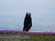 paragliding-holidays-olympic-wings-greece-2016-076