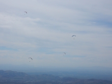 paragliding-holidays-olympic-wings-greece-2016-101