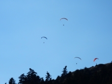 paragliding-holidays-olympic-wings-greece-2016-217