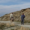 paragliding-holidays-mount-olympus-greece-125