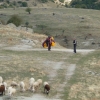 paragliding-holidays-mount-olympus-greece-132