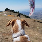 Antoine-Girard-XC-seminar-Olympic-Wings-34