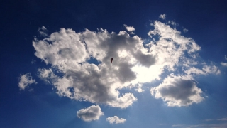 Want to be up here? Come to fly with us!