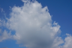 XC seminar Moselglider and Shelenkov School September 2015