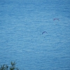 paragliding-holidays-olympic-wings-greece-2016-152