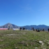 paragliding-holidays-olympic-wings-greece-2016-209